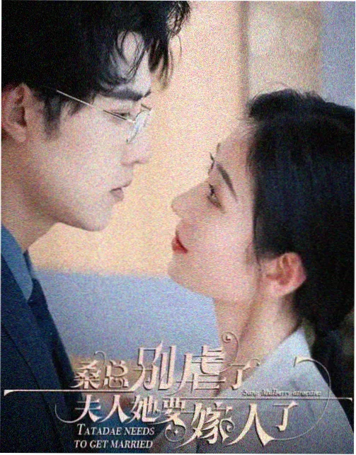 白塔之下 电视剧在线观看
